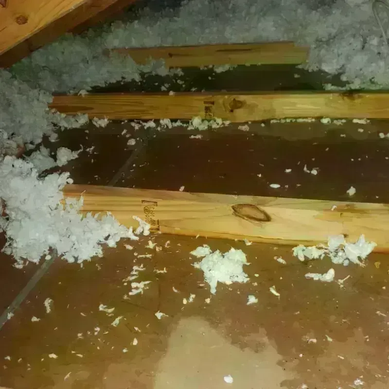 Attic Water Damage in Aberdeen, MD