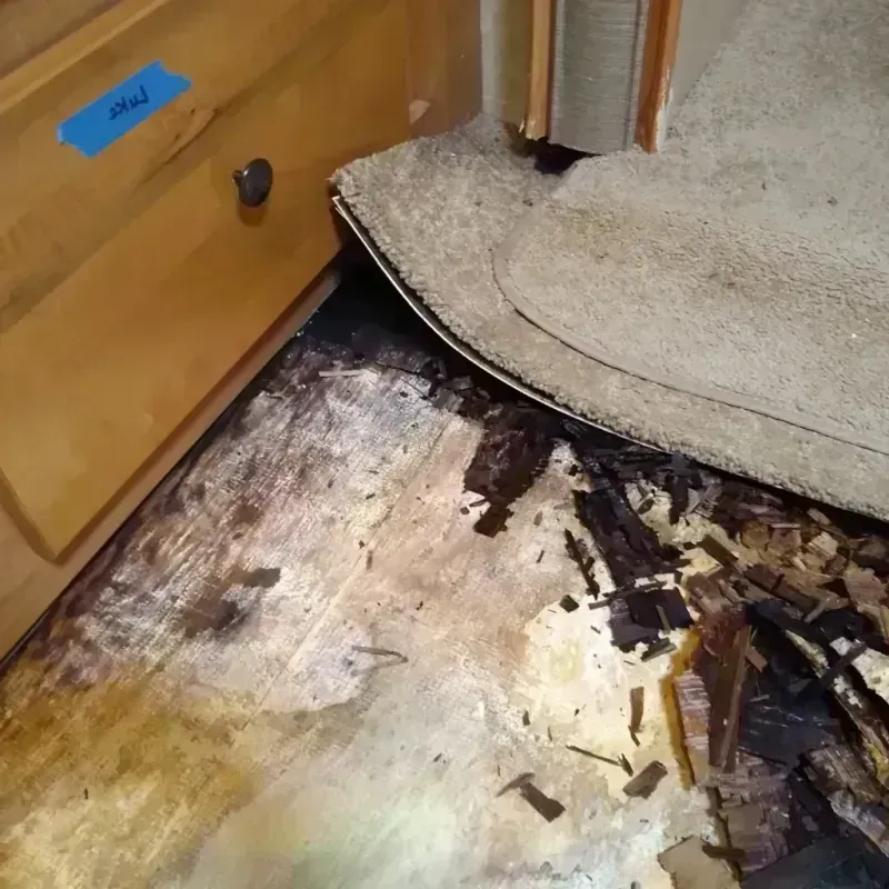 Wood Floor Water Damage in Aberdeen, MD